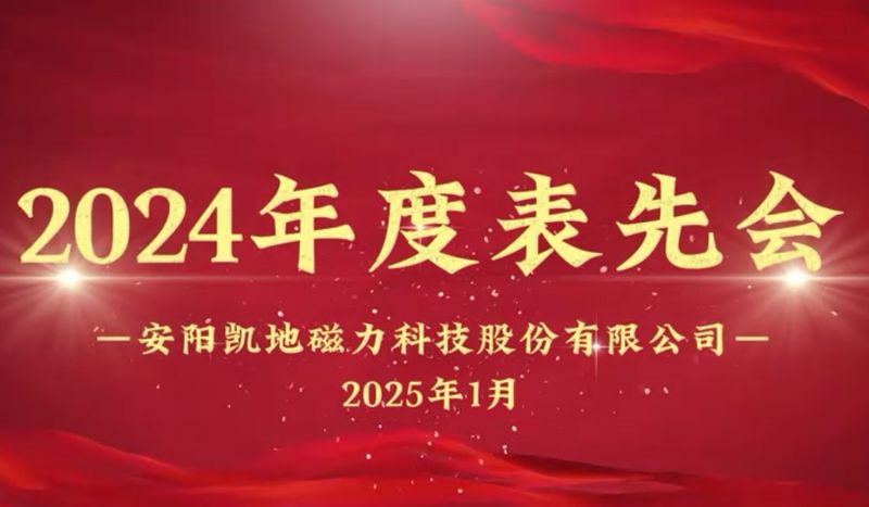 公司召開2024年度表先會(huì)，對(duì)37名優(yōu)秀員工進(jìn)行表彰